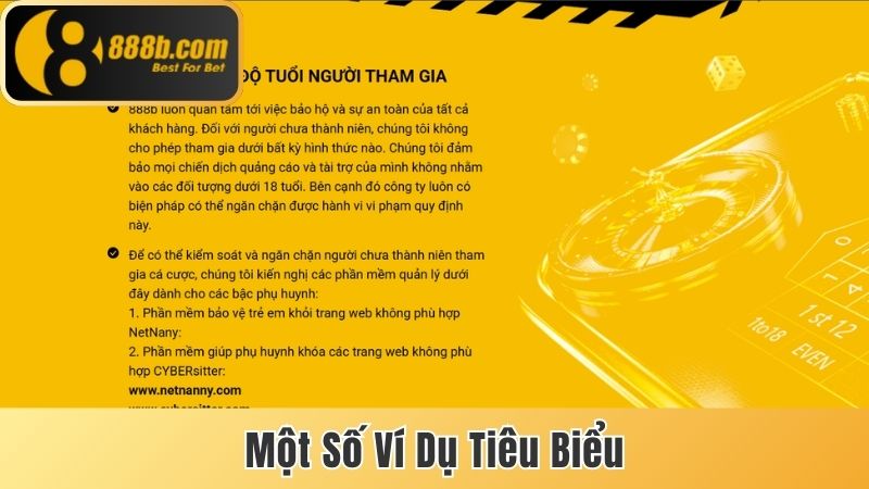 Thông Tin Miễn Trừ Trách Nhiệm Tại 888b Cho Thành Viên Mới 3 Một số ví dụ tiêu biểu