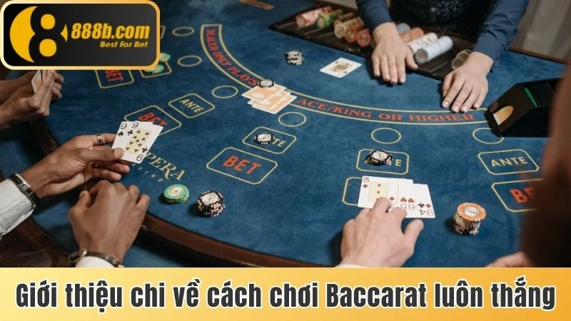 5 Cách Chơi Baccarat Luôn Thắng Lớn Dành Cho Người Mới 2 Giới thiệu chi tiết về cách chơi Baccarat luôn thắng