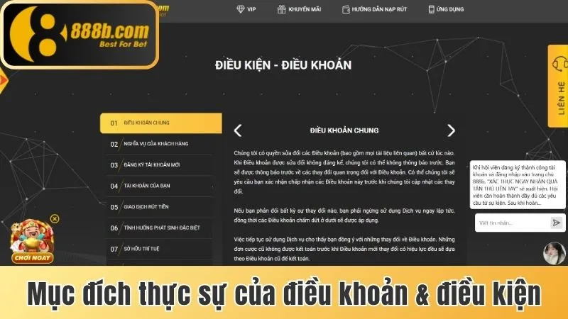 Điều Khoản & Điều Kiện 888b – Bảo Vệ Quyền Lợi Người Chơi 1 Mục đích thực sự của điều khoản & điều kiện