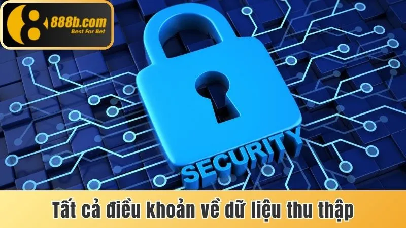 Chính Sách Bảo Mật - Những Điều Khoản Người Chơi 888b Cần Nắm 3 Tất cả điều khoản về dữ liệu thu thập