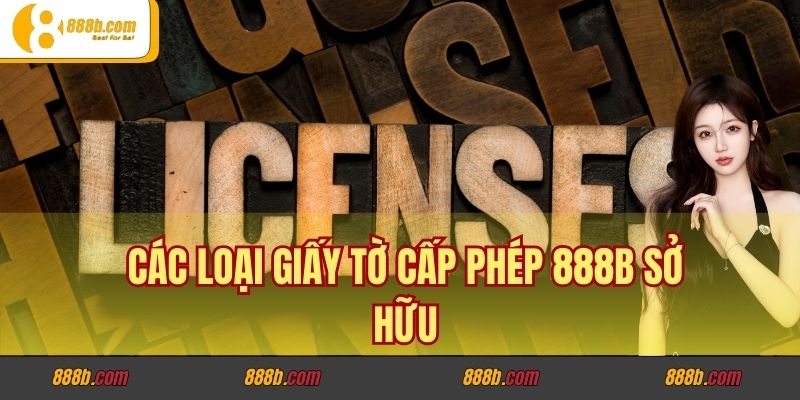Giấy Tờ Cấp Phép Hoạt Động Của Nhà Cái 888B Hợp Pháp, An Toàn 3 Các loại giấy tờ cấp phép 888B sở hữu