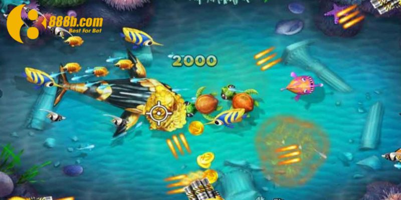 Chị Ngọc cùng niềm đam mê săn boss