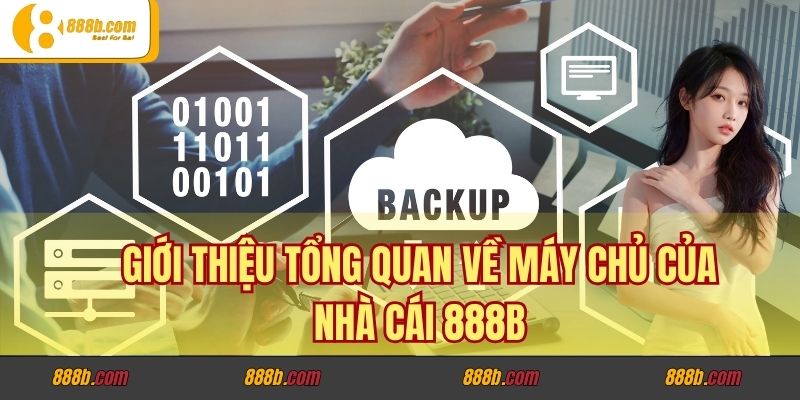 Giới thiệu tổng quan về máy chủ của nhà cái 888B