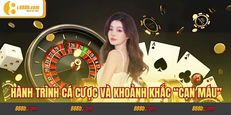 Câu chuyện hồi sinh nhờ hỗ trợ bơm máu 8% trong cá cược 2 Hành trình cá cược và khoảnh khắc “cạn máu”