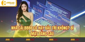 Nhà Cái 888B Có Hay Bảo Trì Không? Bí Mật Đằng Sau