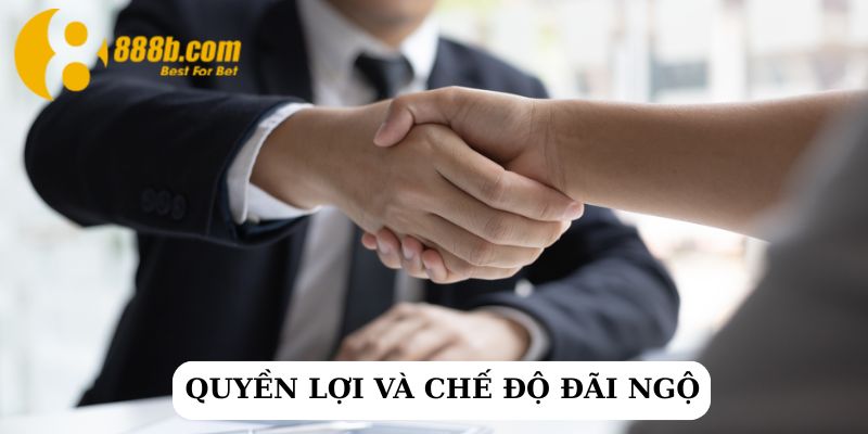 Tuyển dụng phòng Marketing của 888B năm 2025: Cơ hội nghề nghiệp hấp dẫn 3 Mức lương cực hấp dẫn cho người mới tham gia