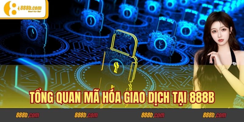 Nhà Cái 888b có áp dụng mã hóa giao dịch không? 2 Tổng quan mã hóa giao dịch tại 888b