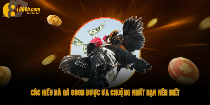 Các kiểu Đá gà 888B được ưa chuộng nhất bạn nên biết