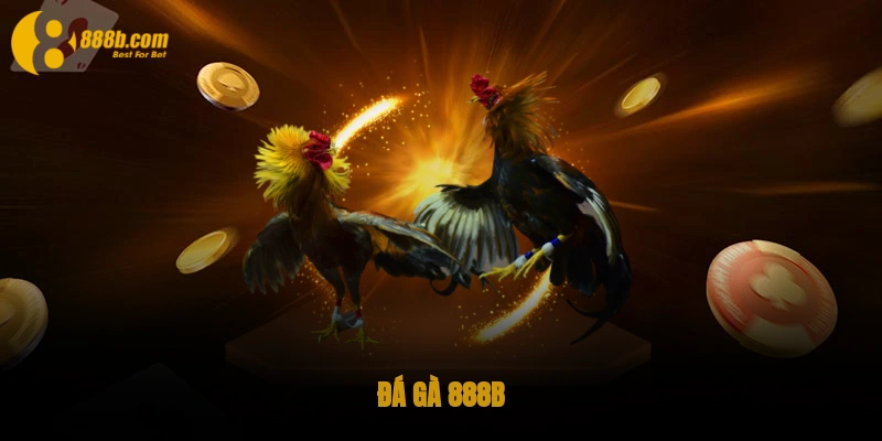 Đá gà 888B - Sân Chơi Cá Cược Nổi Đình Đám Từ Năm 2025 1 Đá gà 888B